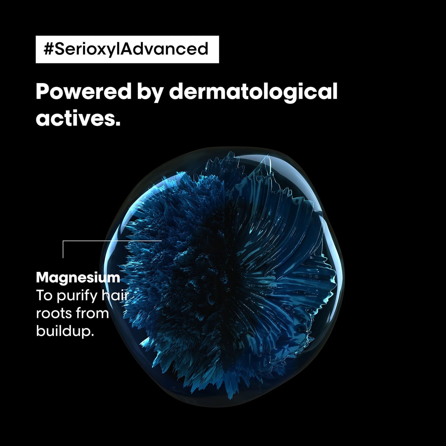 Serie Expert [Serioxyl Advanced] Purifier bodifier shampoo.
