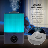 2in1 Humidifier