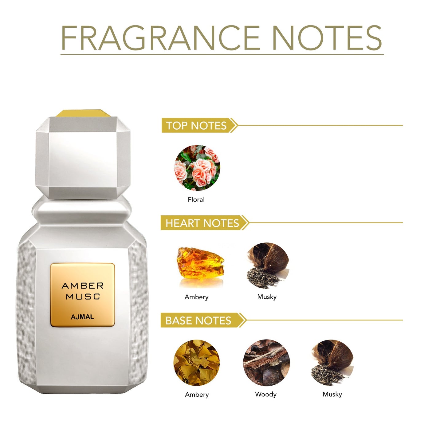 AMBER MUSC EDP 100ML