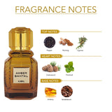 AMBER SANTAL EDP 100ML