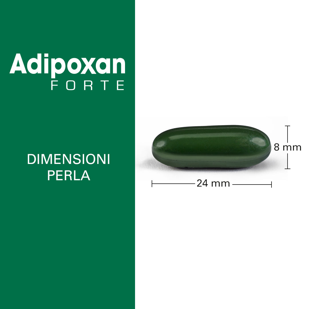 Adipoxan Forte