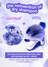 AirWash™ dry shampoo 4oz