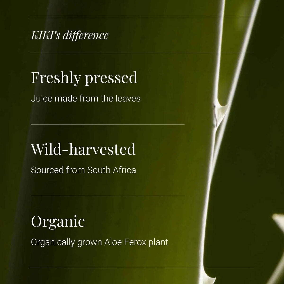 Aloe Ferox Juice, Organic - 500ml