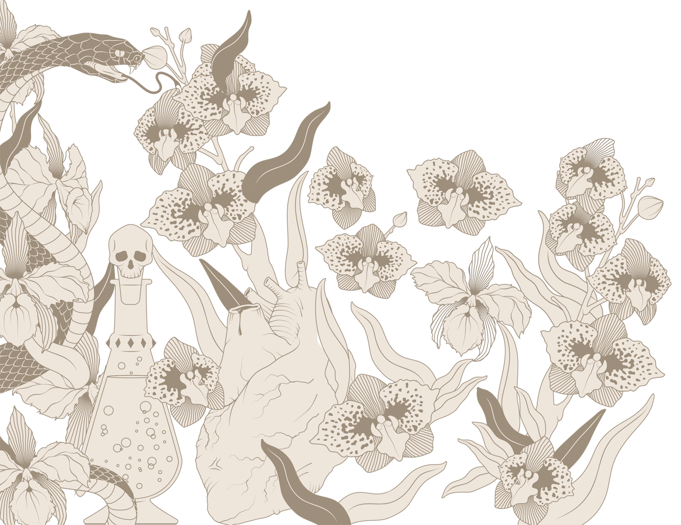 LUCREZIA’S AMBER POTION