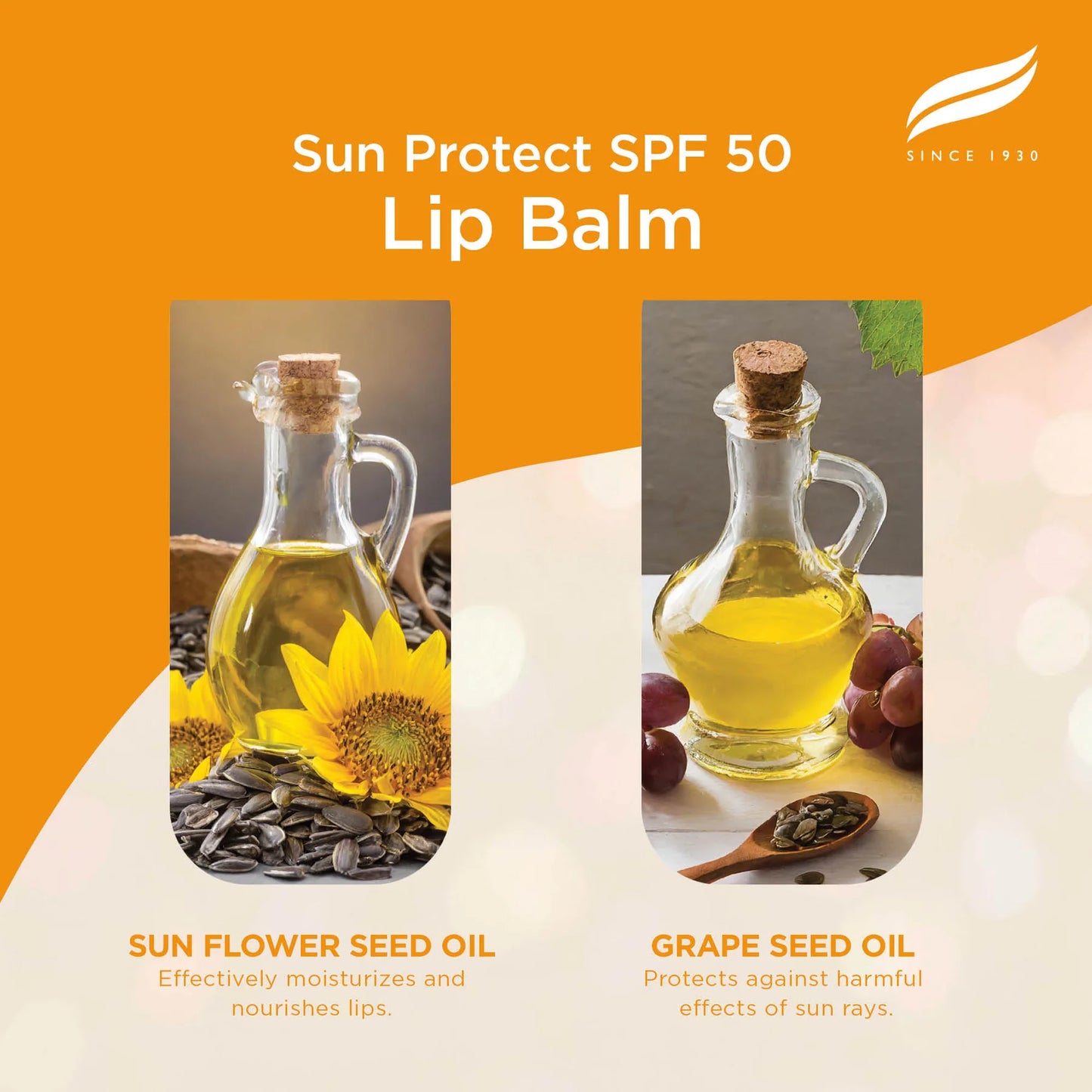 SUN PROTECT LIP BALM 4.5G