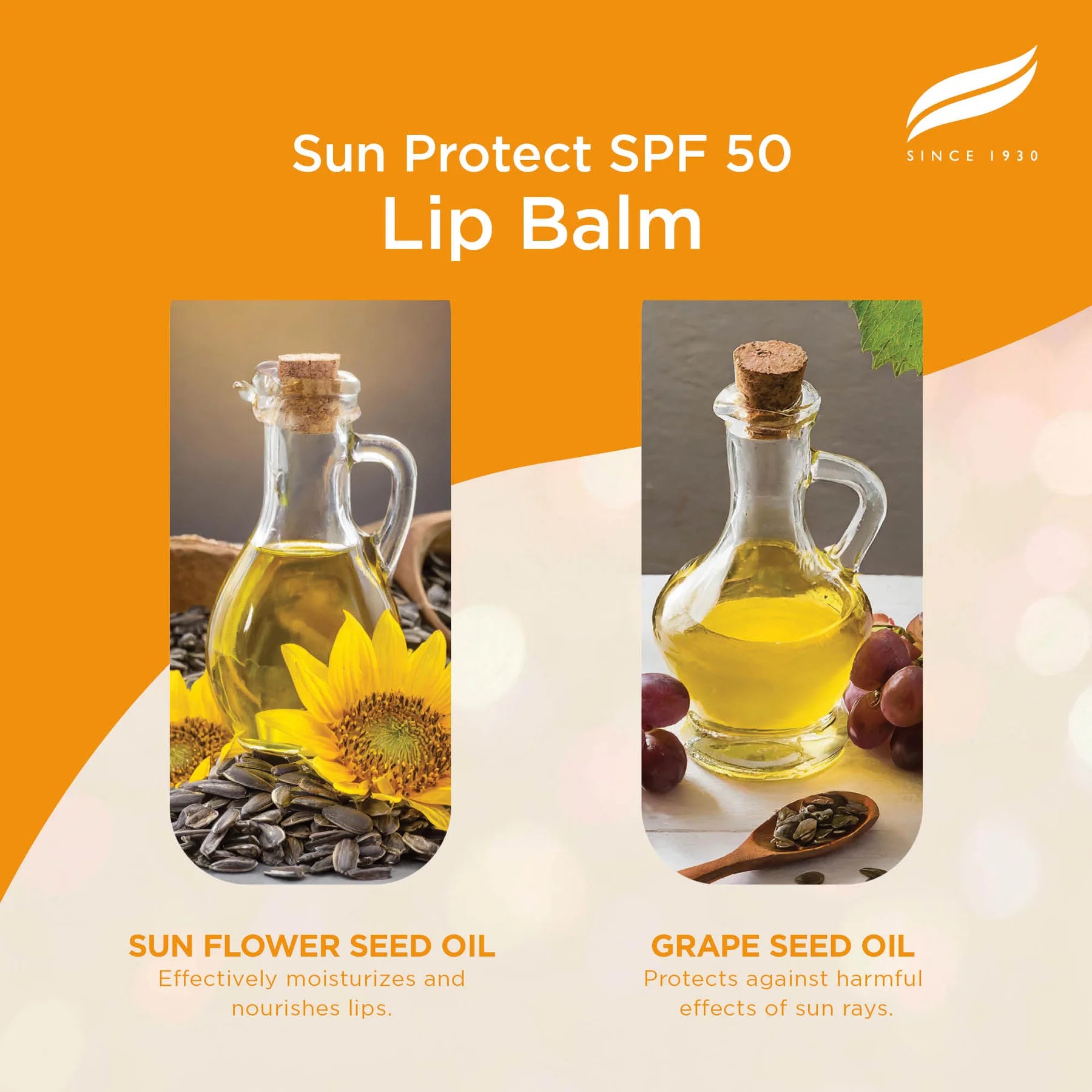 SUN PROTECT LIP BALM 4.5G