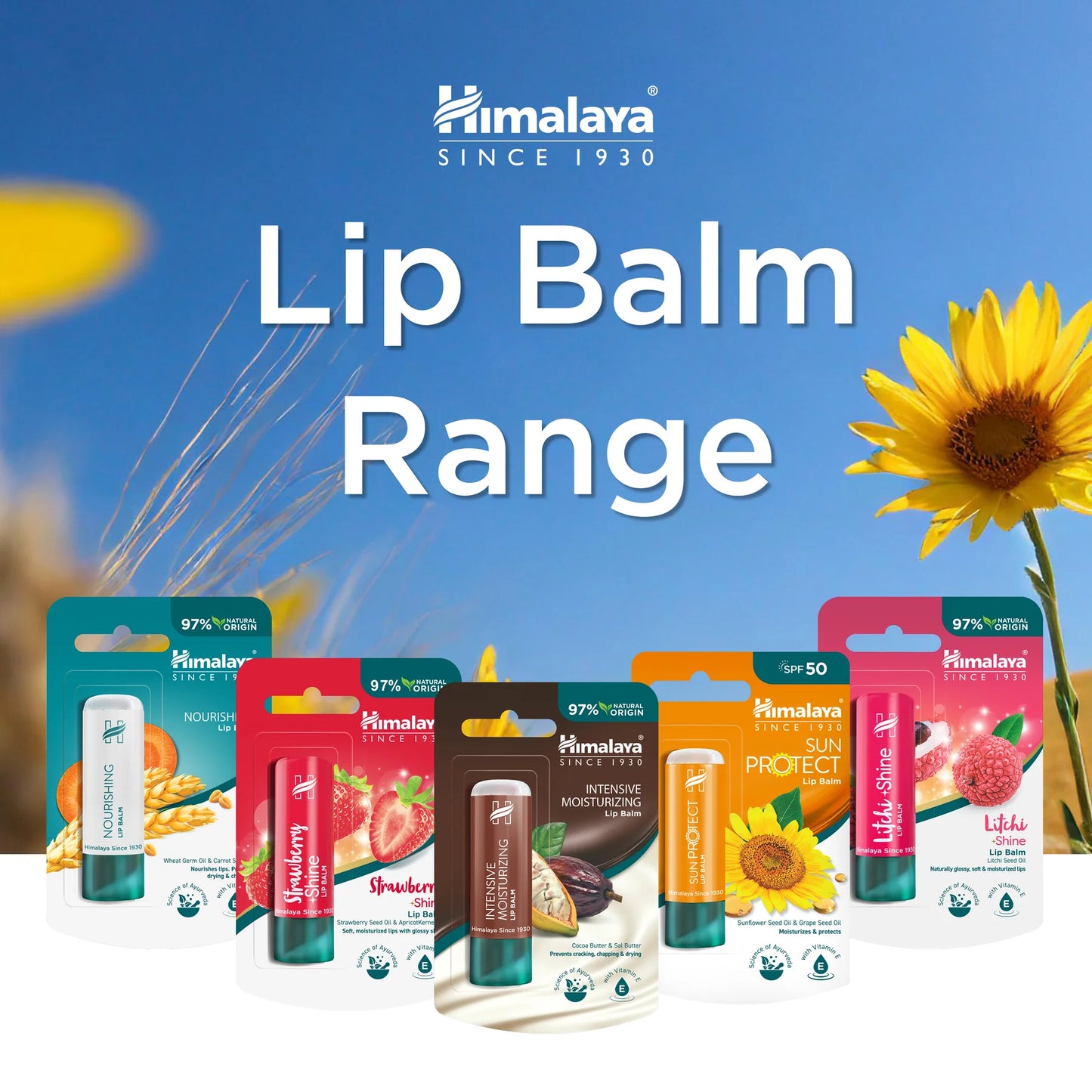 SUN PROTECT LIP BALM 4.5G