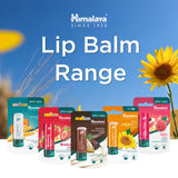 SUN PROTECT LIP BALM 4.5G