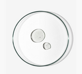 BABE Pediatric Intimate Hygiene Gel *200ml