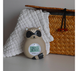 Bbluv Rakü Bath & Room Thermometer