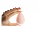 Brushworks Complexion Sponge