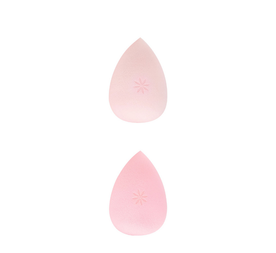 Brushworks Complexion Sponge Duo