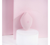 Brushworks Definer Complexion Sponge