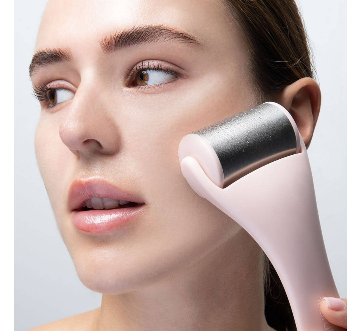 Brushworks Ice Roller