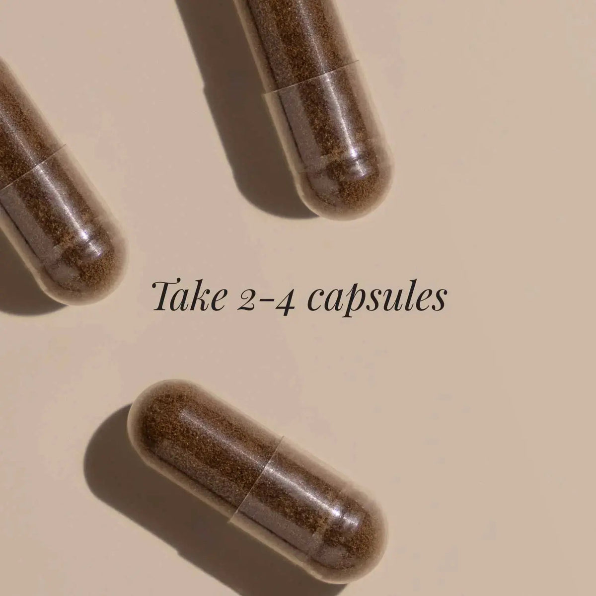 Chaga Extract, Organic - 60 Vegicaps