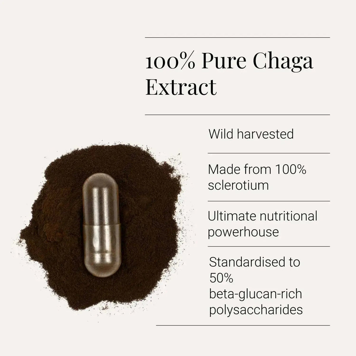 Chaga Extract, Organic - 60 Vegicaps