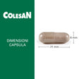 Colesan
