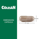 Colesan