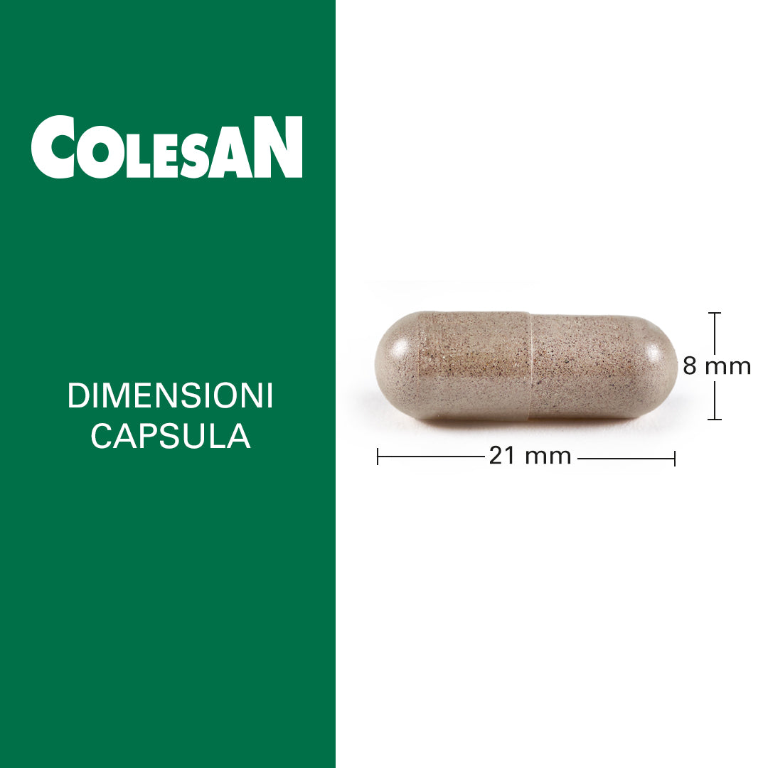 Colesan