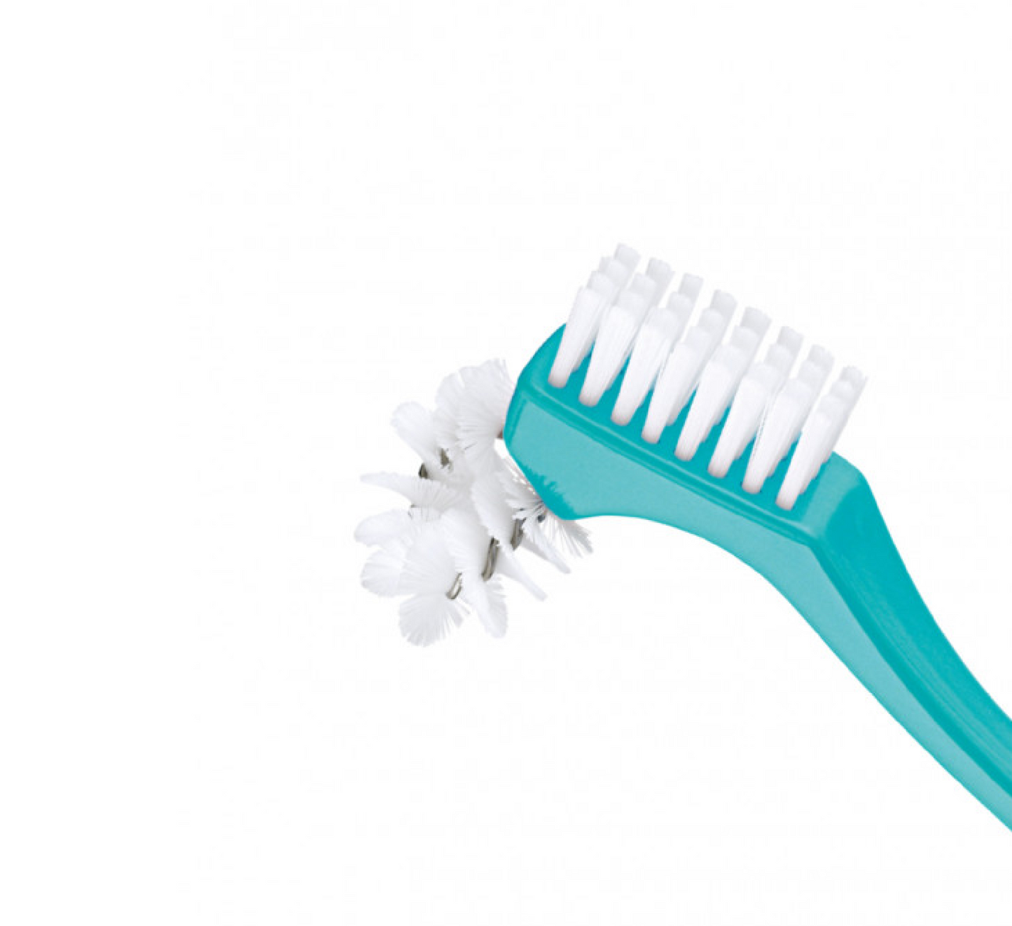 Furçë Pastruese Protezash Curaprox BDC - Mente 