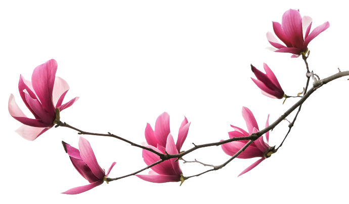 CREMA DEPILATORIA VELVET touch ASCELLE & INGUINE