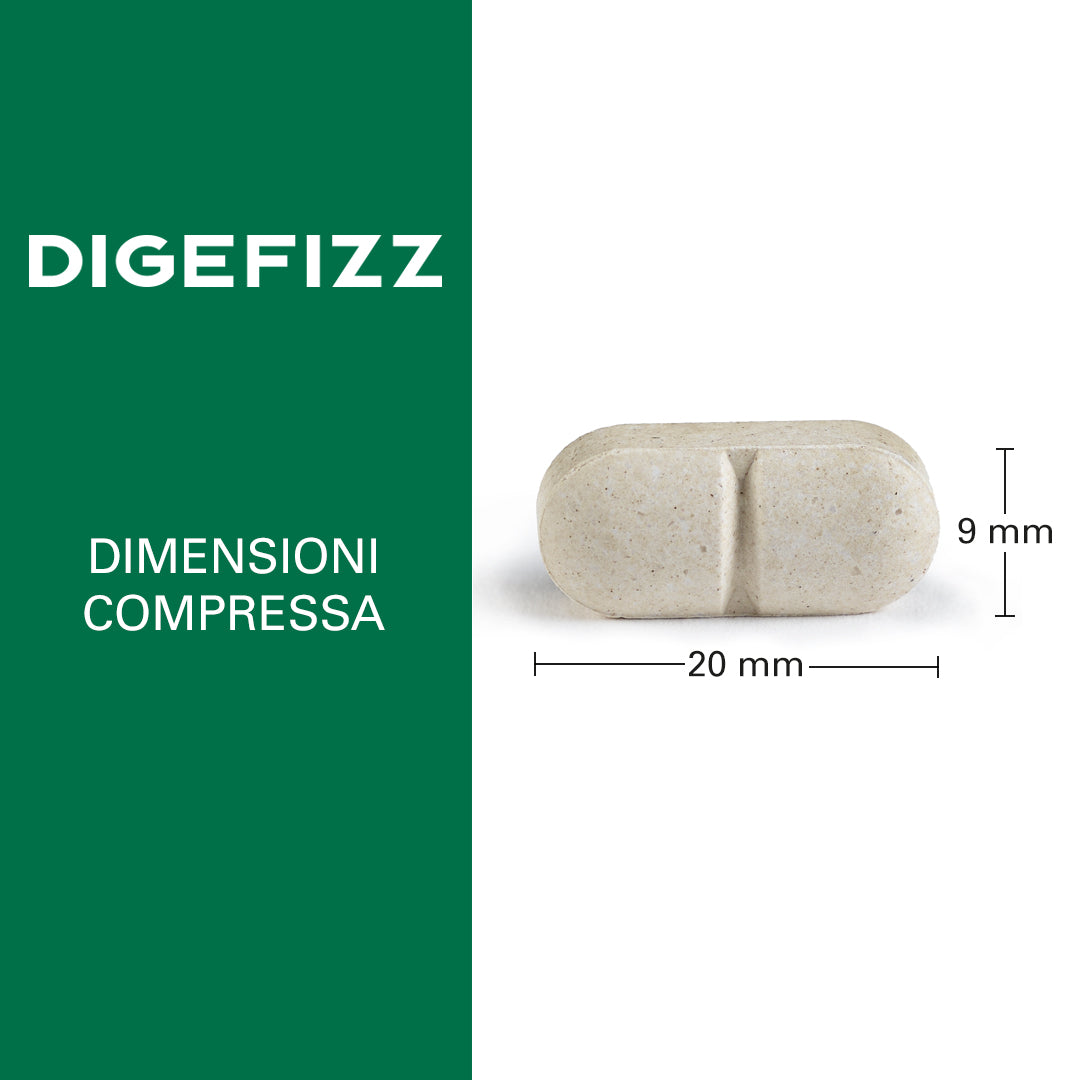 Digefizz