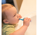 Dr. Brown's Infant-to-Toddler Toothbrush Elephant (0-3 Years)