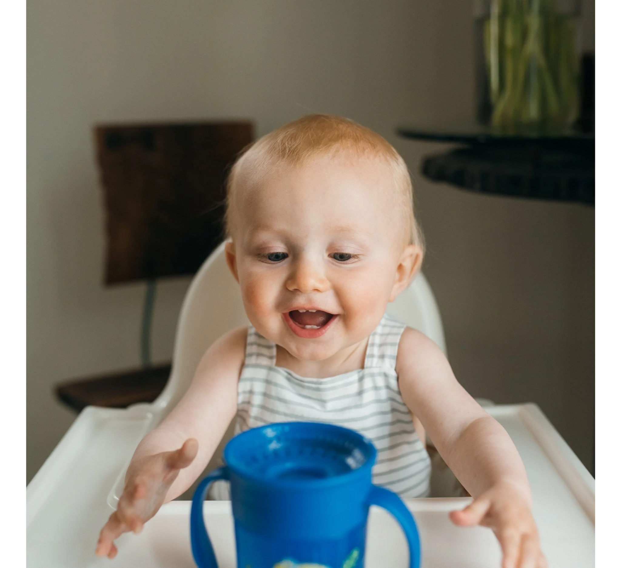 Dr. Brown's Milestones™ Cheers360™ Cup 6M+ *200ml