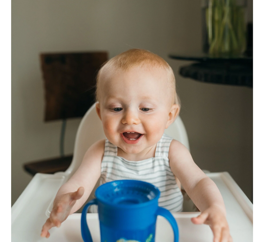 Dr. Brown's Milestones™ Cheers360™ Cup 6M+ *200ml