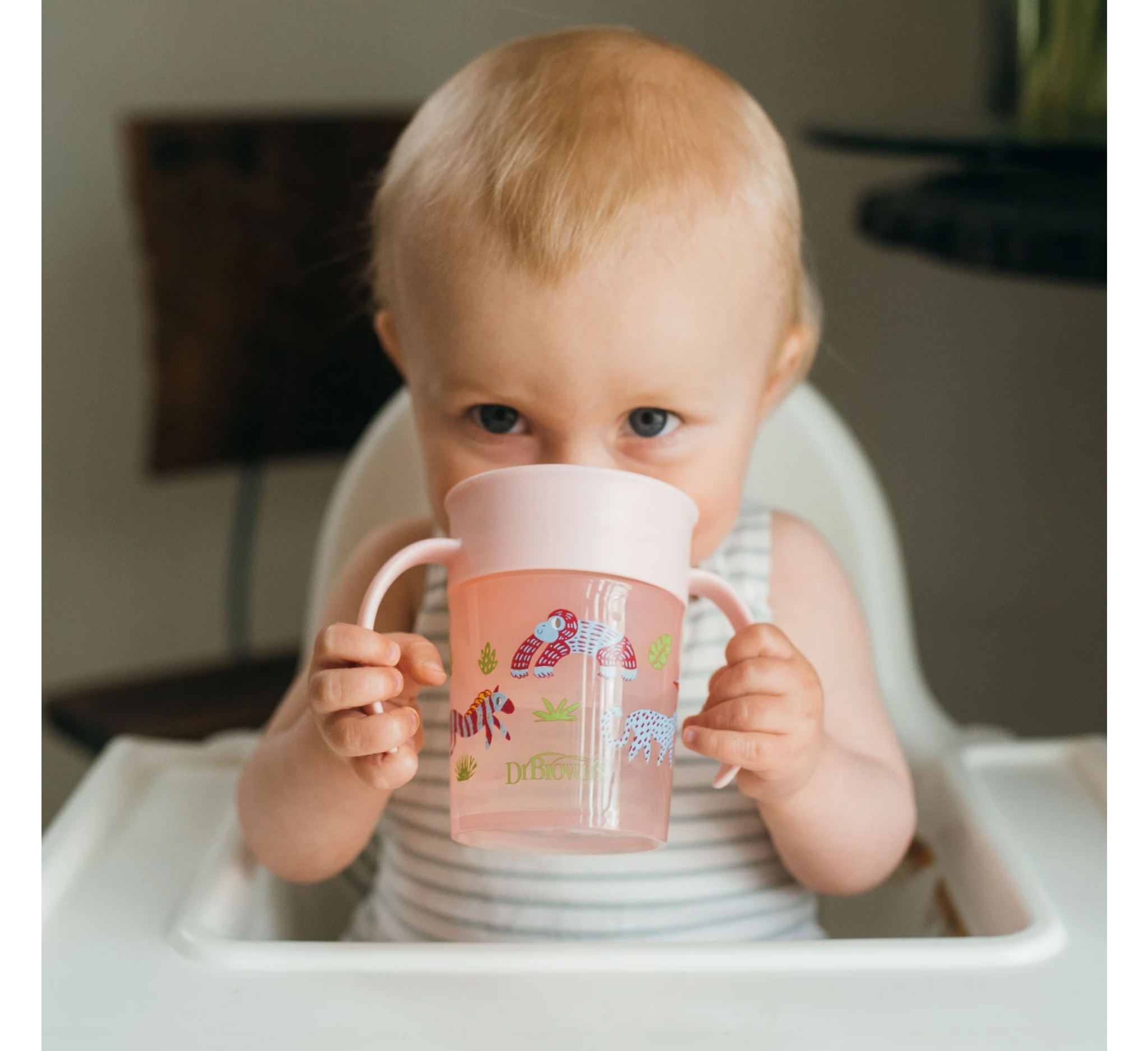 Dr. Brown's Milestones™ Cheers360™ Cup 6M+ *200ml