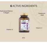 Gold Collagen Hyaluronic Formula *90tab