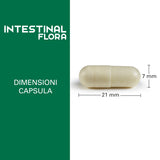 Intestinal Flora