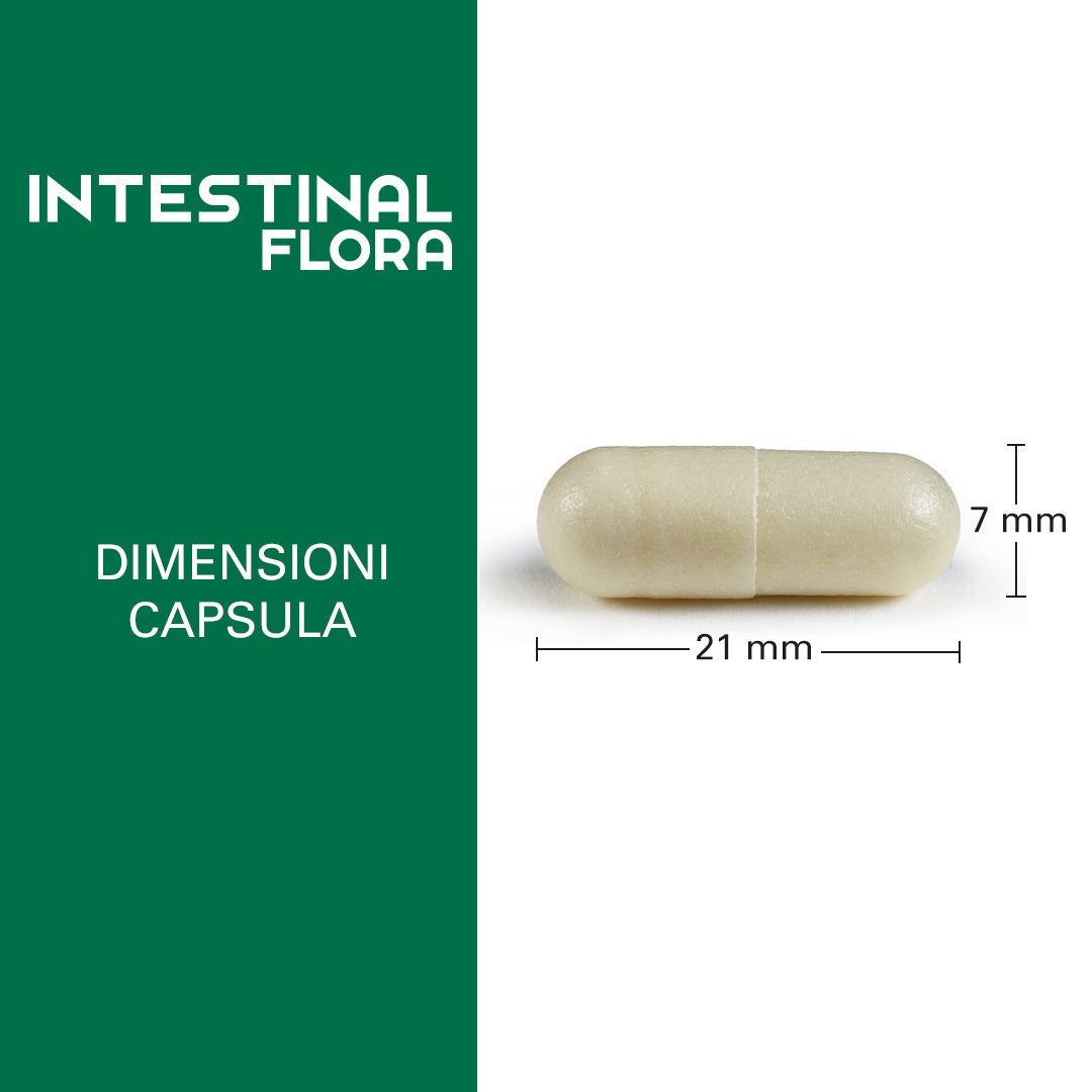 Intestinal Flora