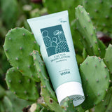 CACTUS BODY LOTION