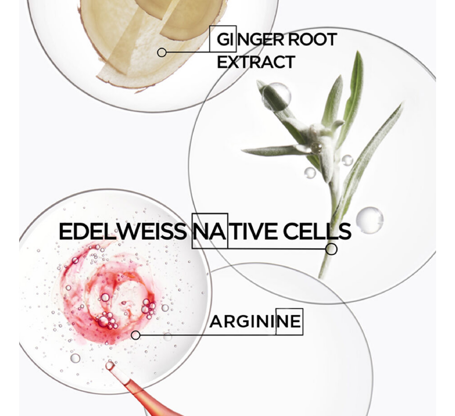 Shampo Kérastase Genesis Bain Hydra-Fortifiant *250ml