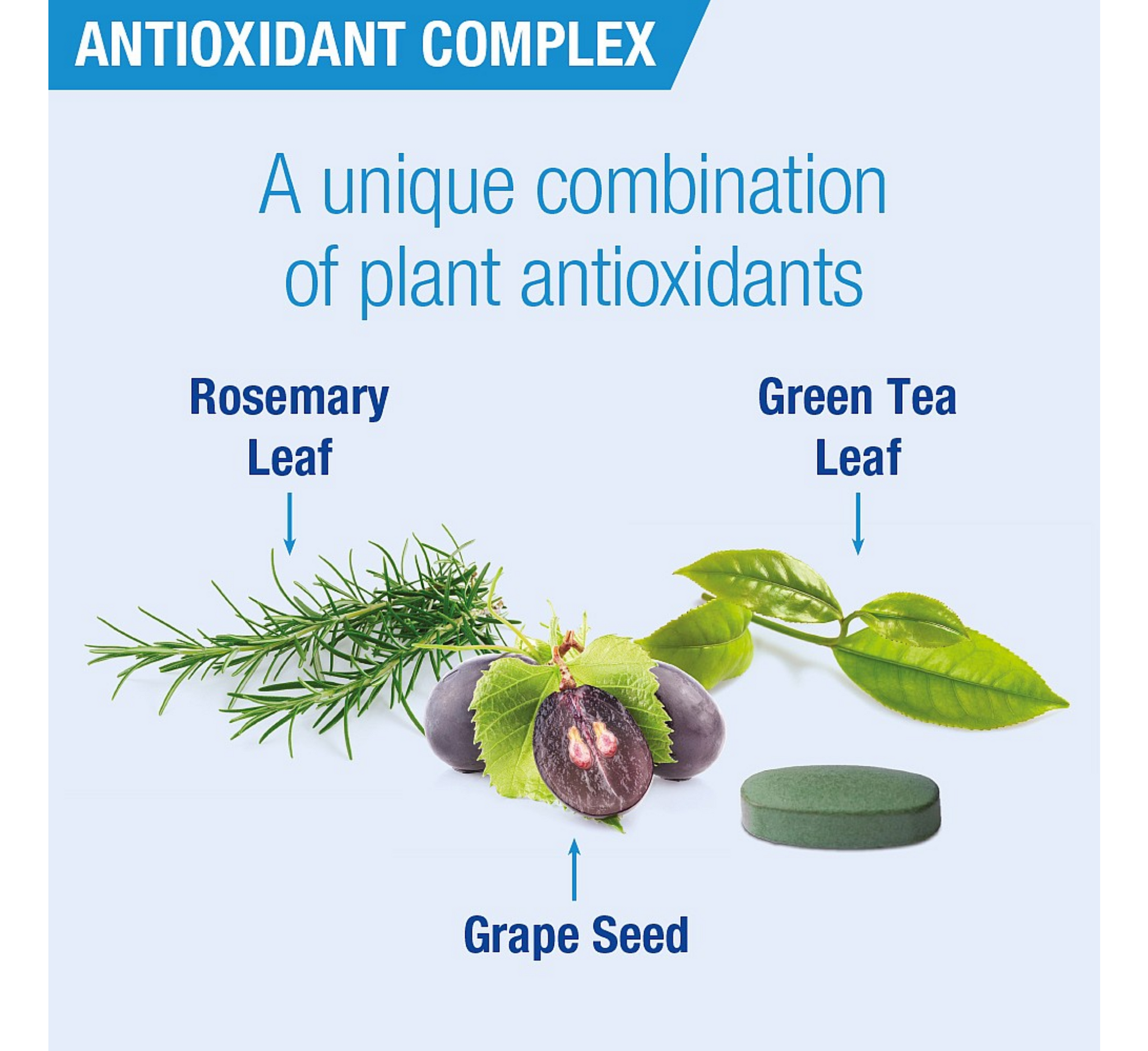 Kompleksi Antioksidant Lambert Super i Fortë *60 tableta