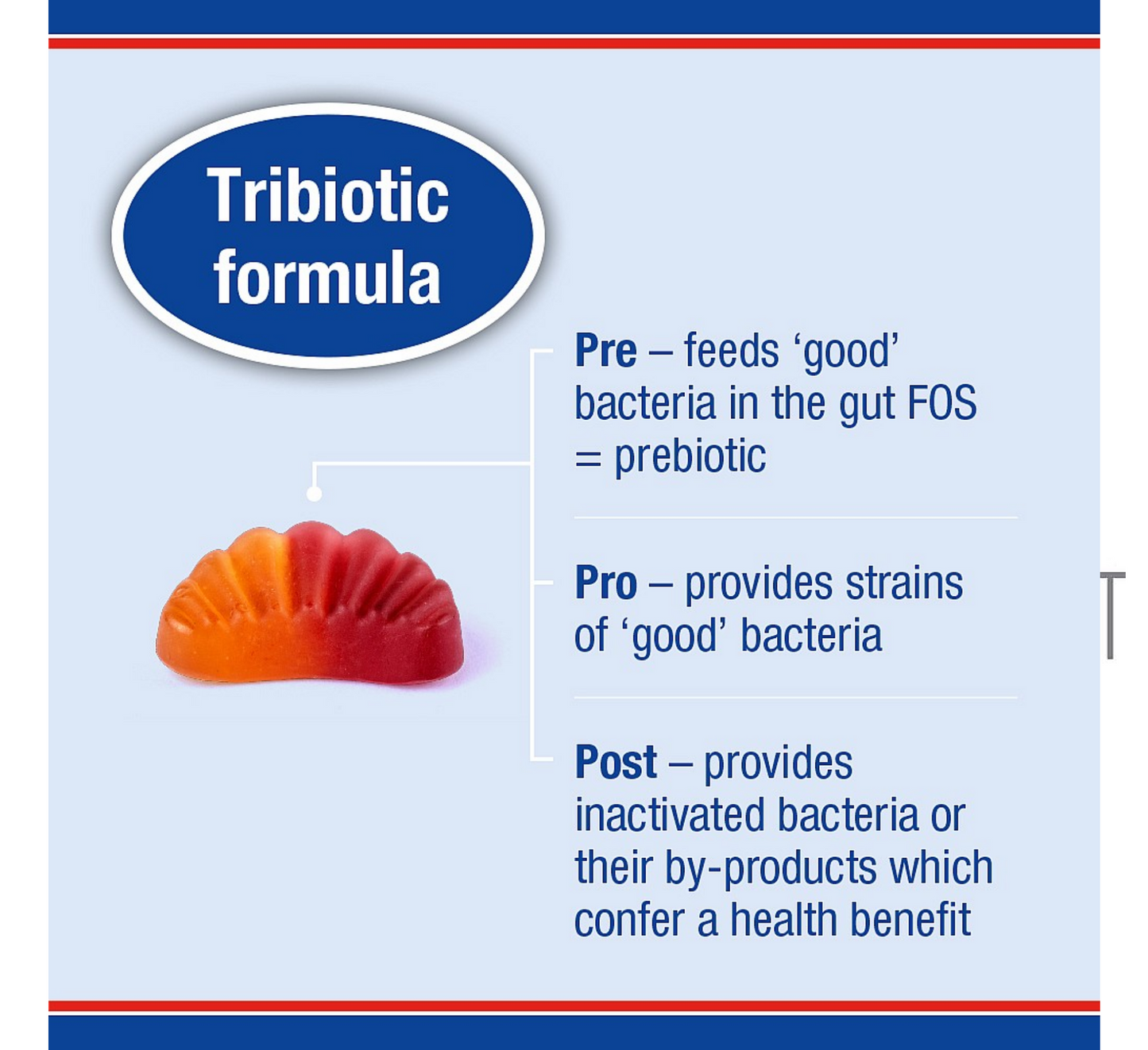 Çamçakëza Lamberts Biome Balance Advanced *30 karamele