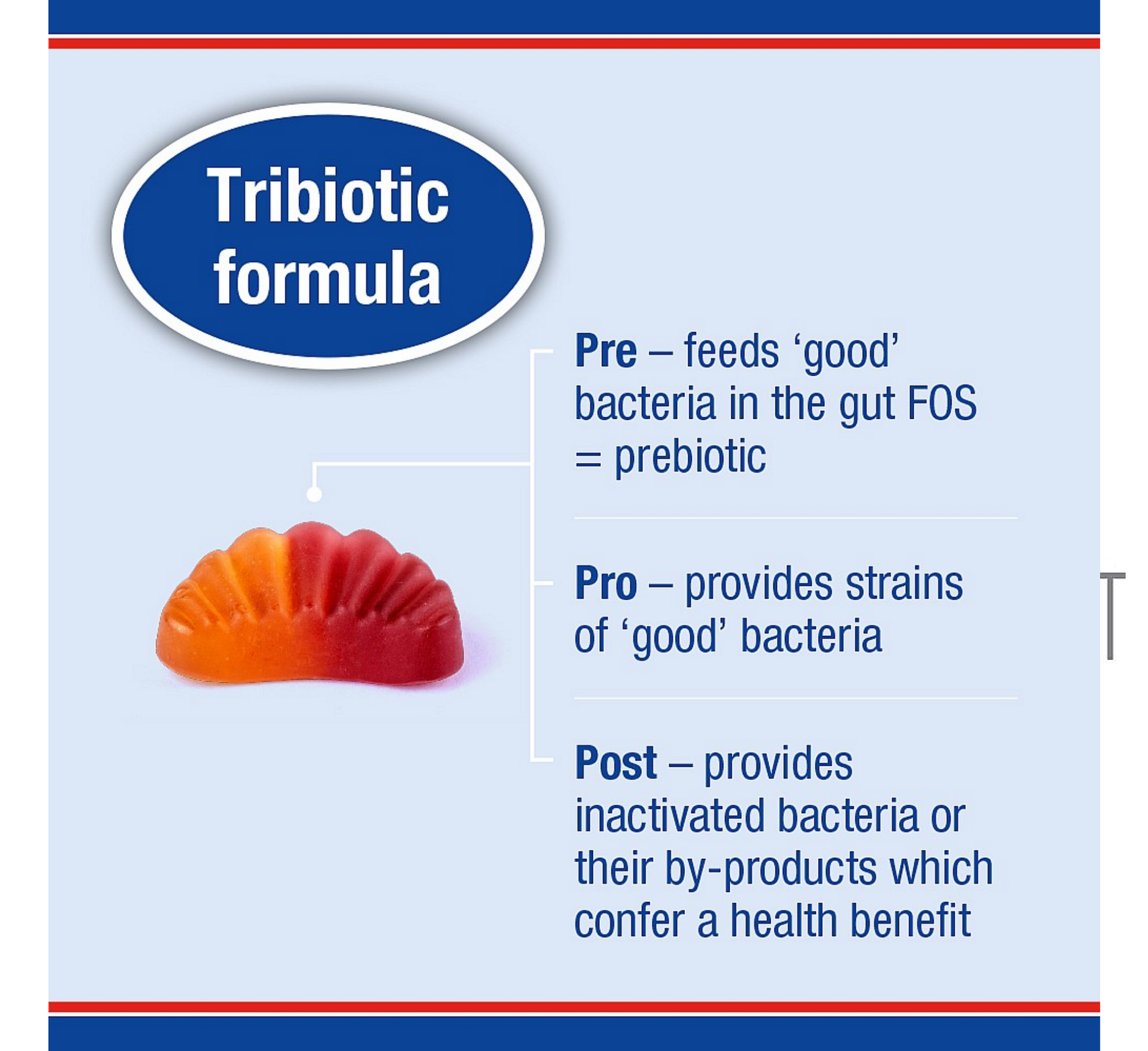 Çamçakëza Lamberts Biome Balance Advanced *30 karamele