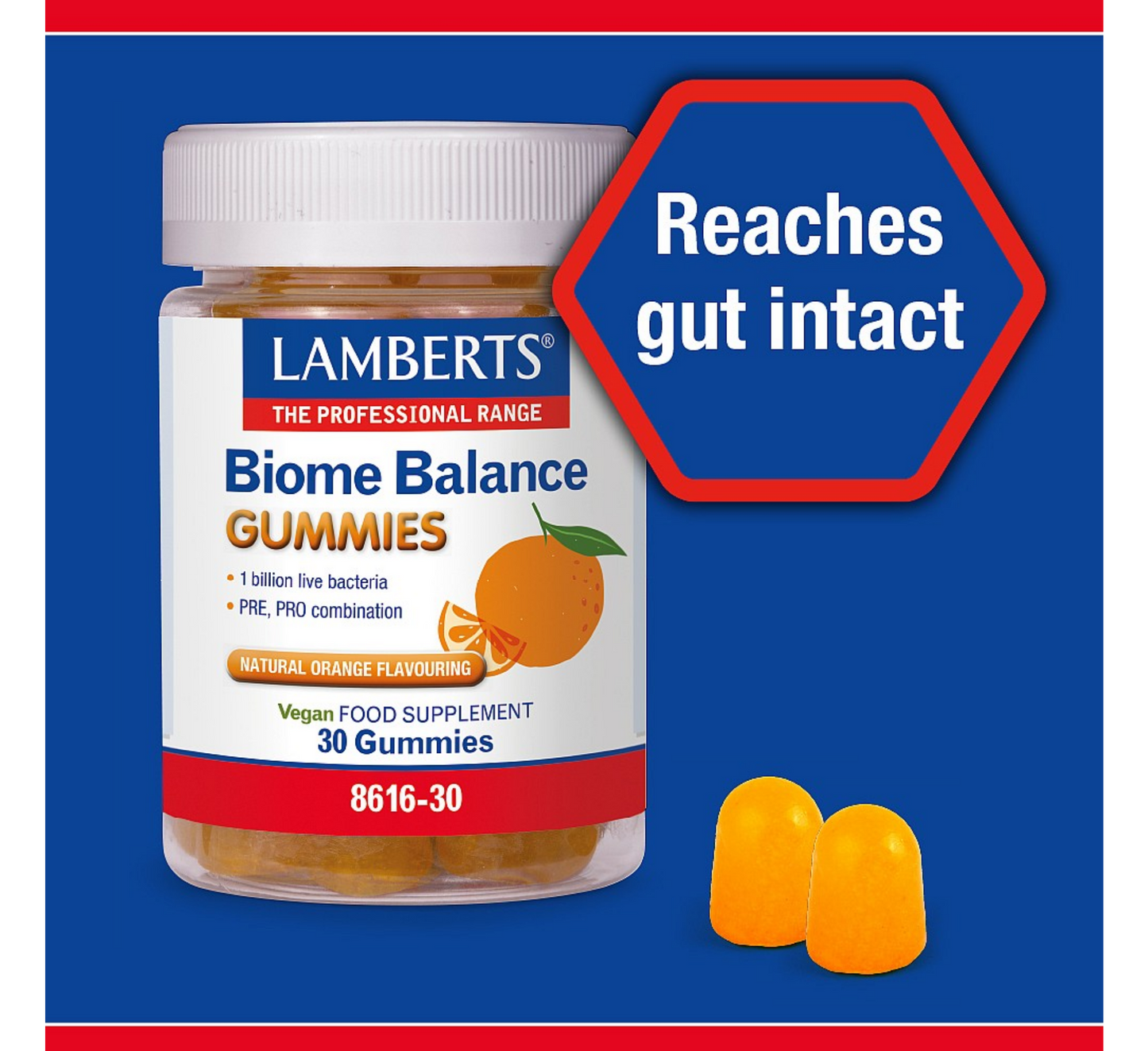 Çamçakëza Lamberts Biome Balance *30 karamele