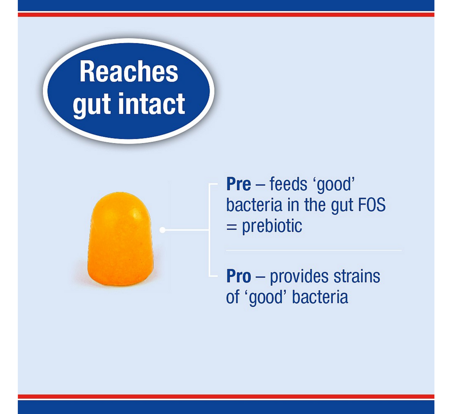 Çamçakëza Lamberts Biome Balance *30 karamele