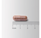 Lamberts Cogni-Focus *30 kapsula