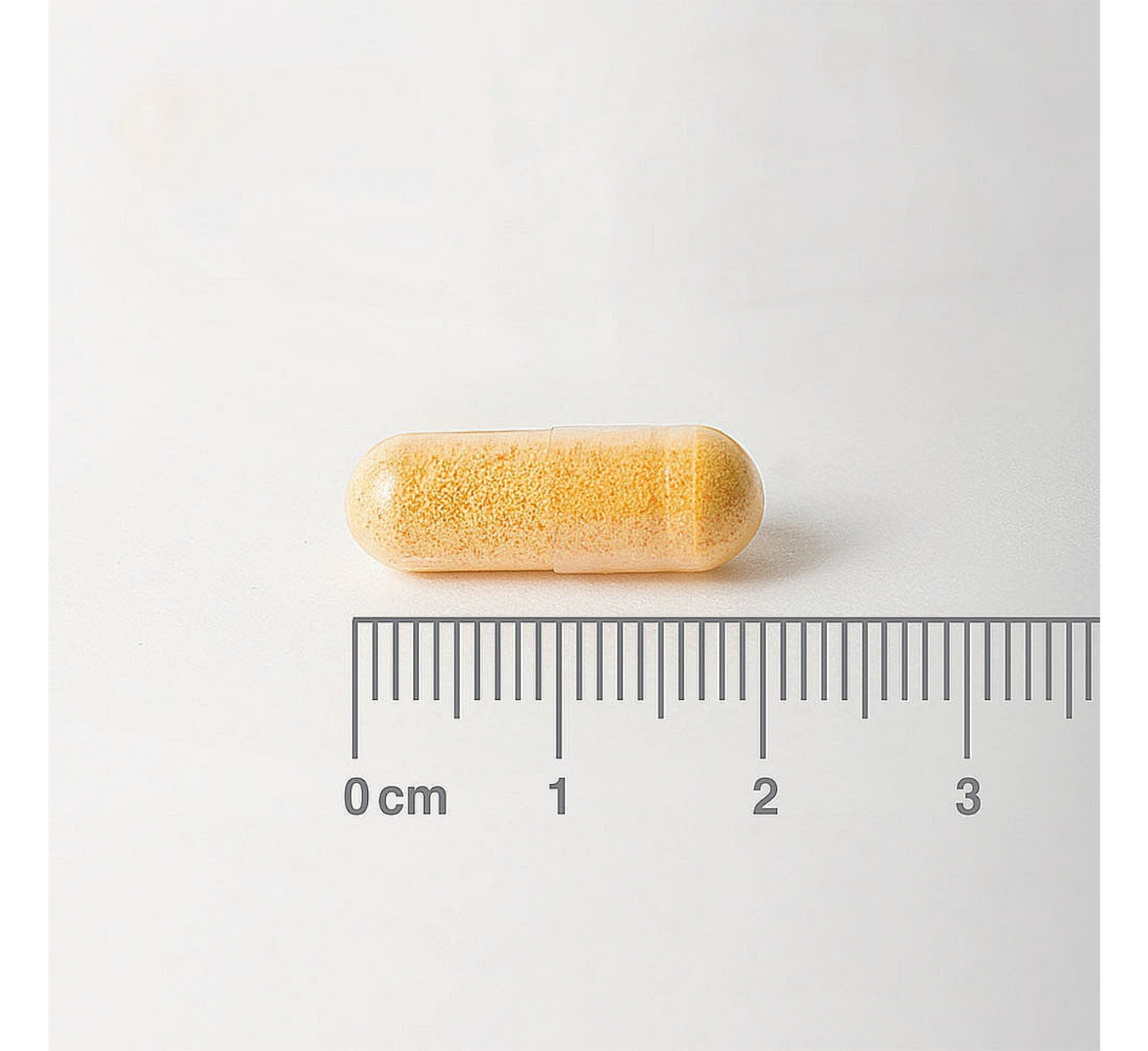 Lamberts Riboflavinë me Fuqi të Lartë (Vitaminë B2) 50 mg *100 kapsula