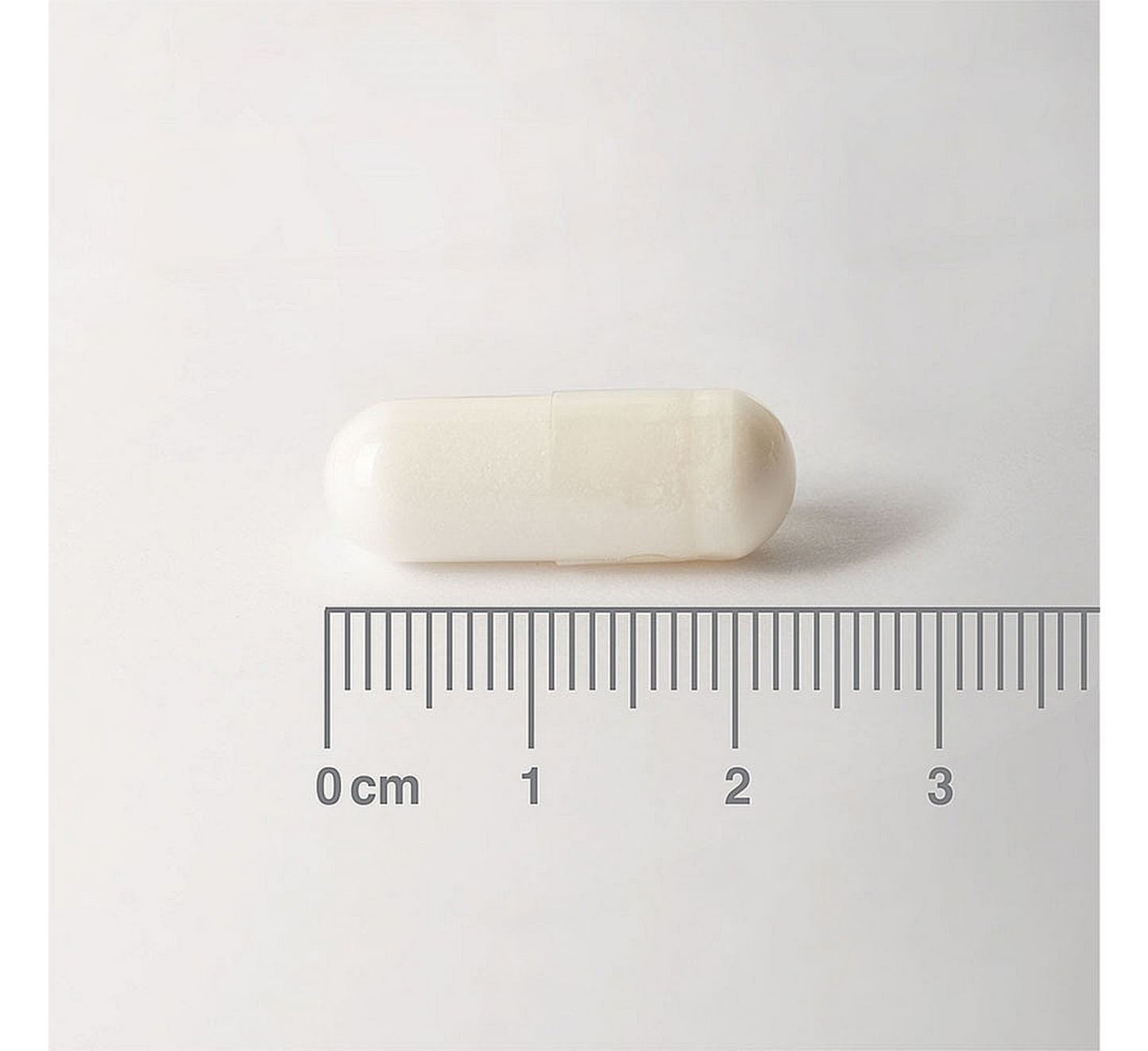 Lamberts L-Carnitine 500 mg *60 kapsula