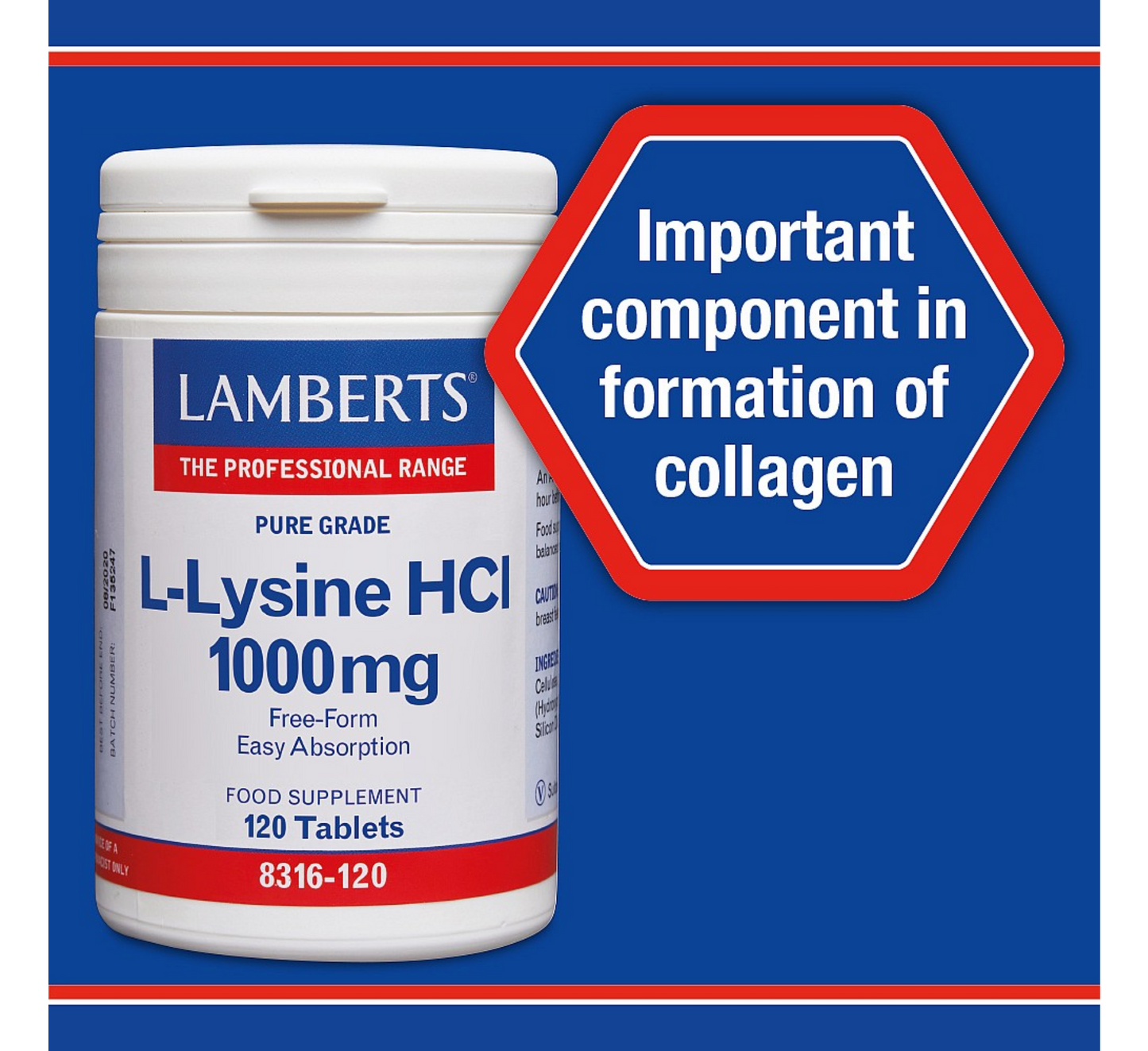 Lamberts L-Lysine HCI 1000mg *120tab