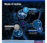 Lamberts Neuro-Guard (B1, B2, B12) *60 tableta