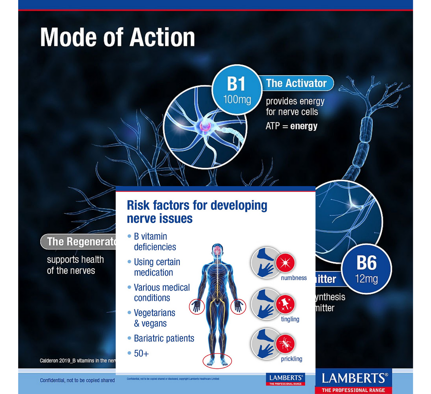 Lamberts Neuro-Guard (B1, B2, B12) *60 tableta