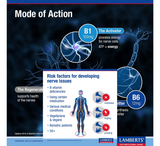 Lamberts Neuro-Guard (B1, B2, B12) *60 tableta