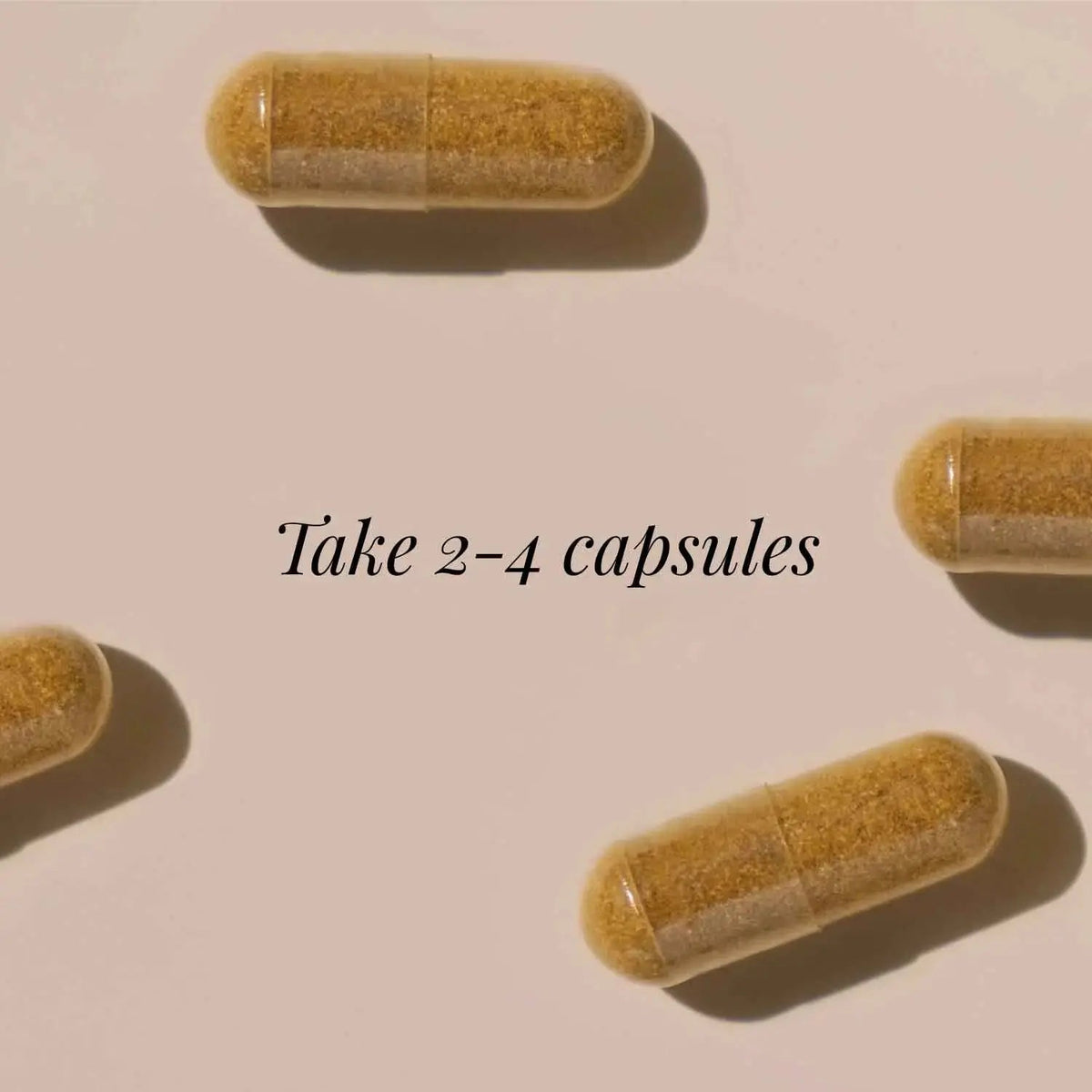 Lion's Mane Extract, Organic - 60 Vegicaps