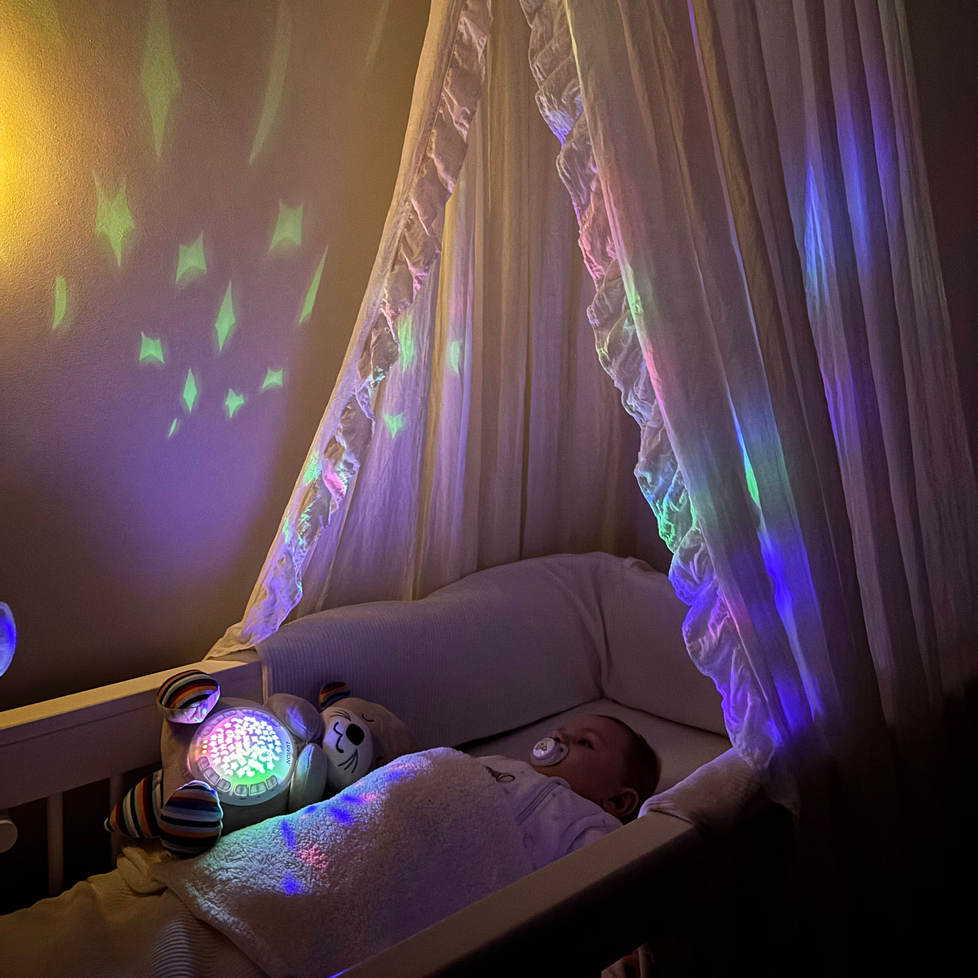 LUVION® Moon-Glow Otter