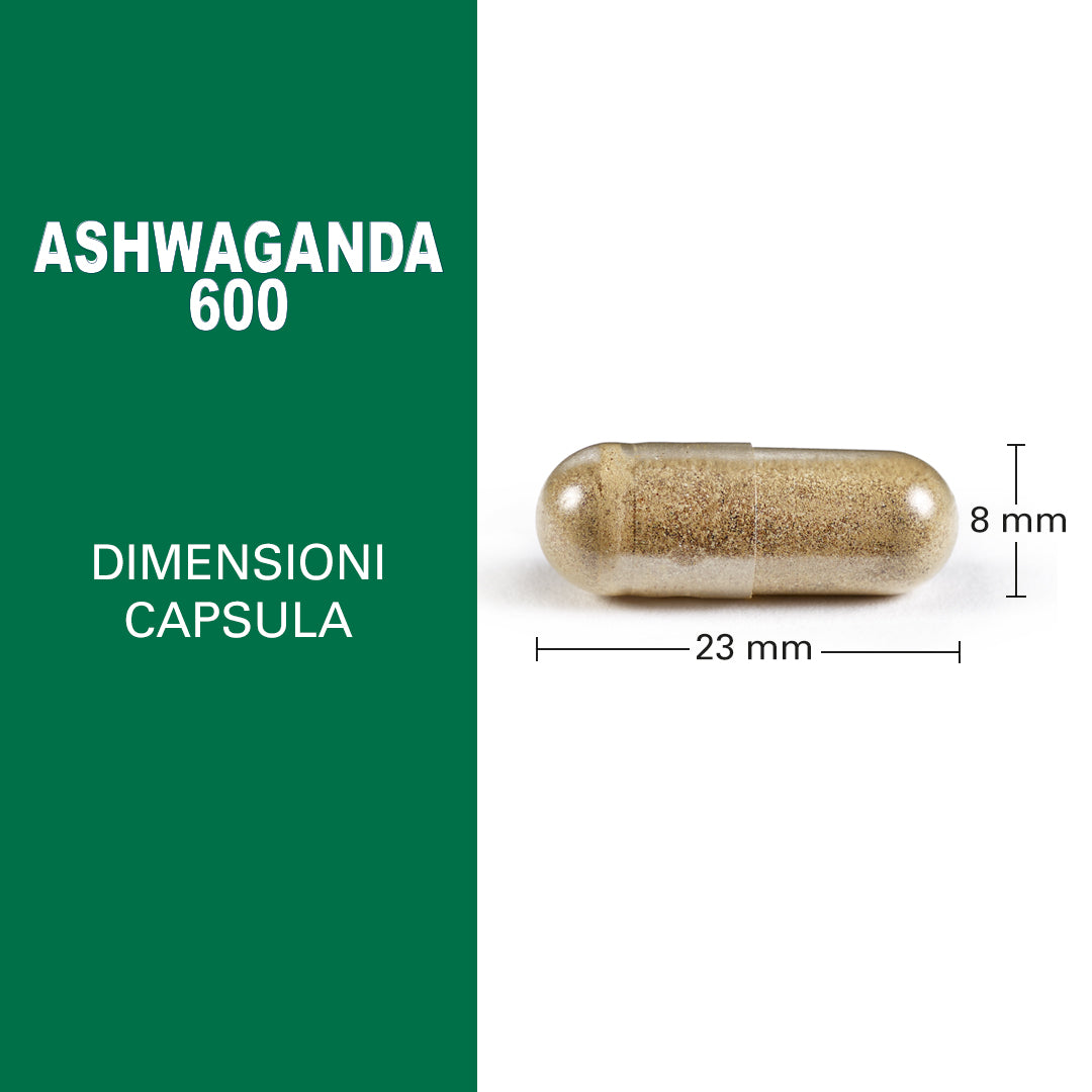 Maximum Ashwaganda 600